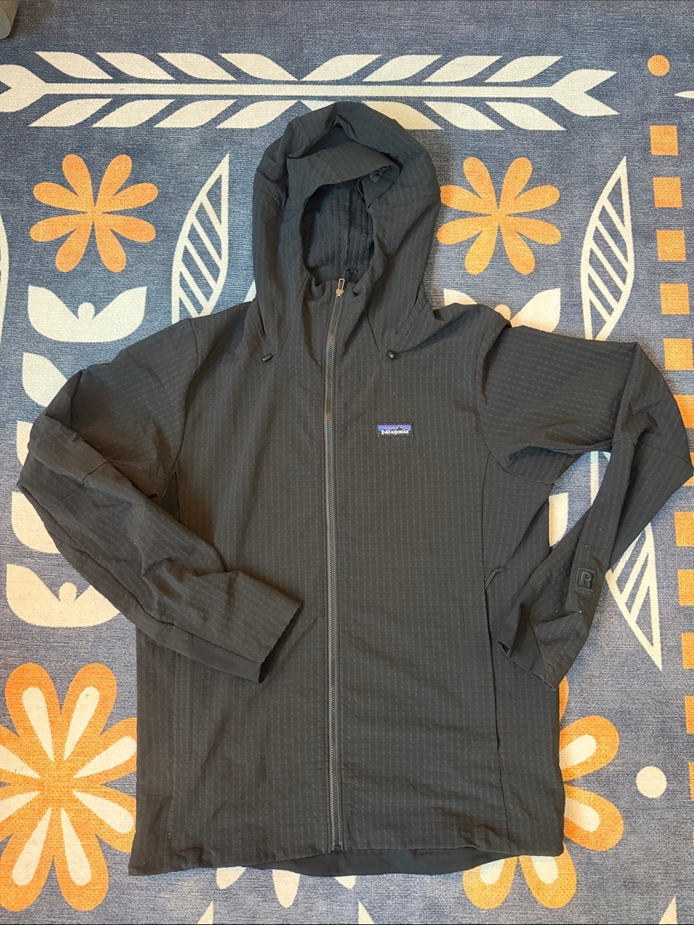 Patagonia Men’s R1 TechFace Hoody